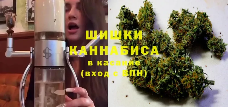 Бошки Шишки THC 21%  купить закладку  Лениногорск 